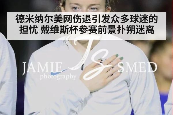 德米纳尔美网伤退引发众多球迷的担忧 戴维斯杯参赛前景扑朔迷离